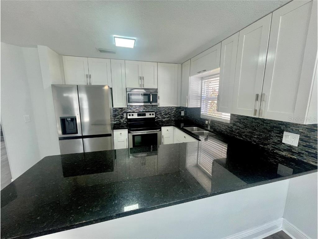 2531 Hamlet Lane Kissimmee FL 34746 S5137469 image3