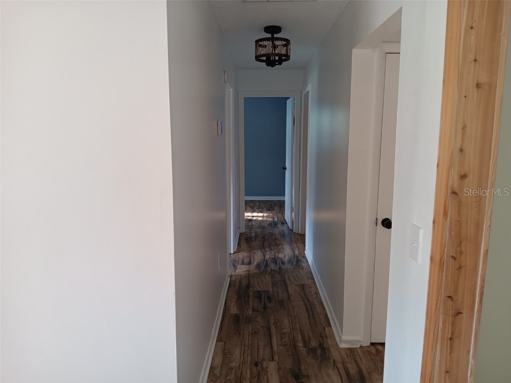 2531 NE 167th Avenue Williston FL 32696 OM700368 image23