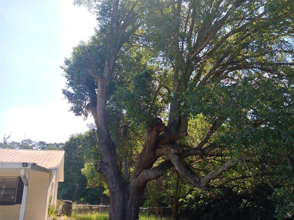 2531 NE 167th Avenue Williston FL 32696 OM700368 image9