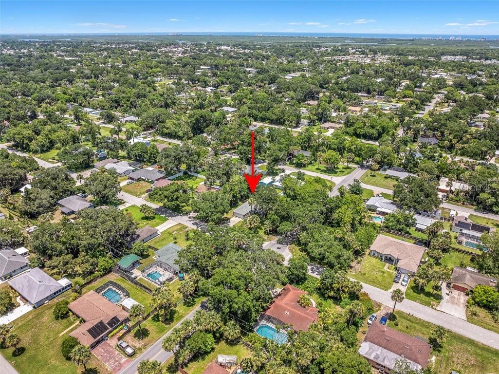 2531 Needle Palm Drive Edgewater FL 32141 FC310670 image40