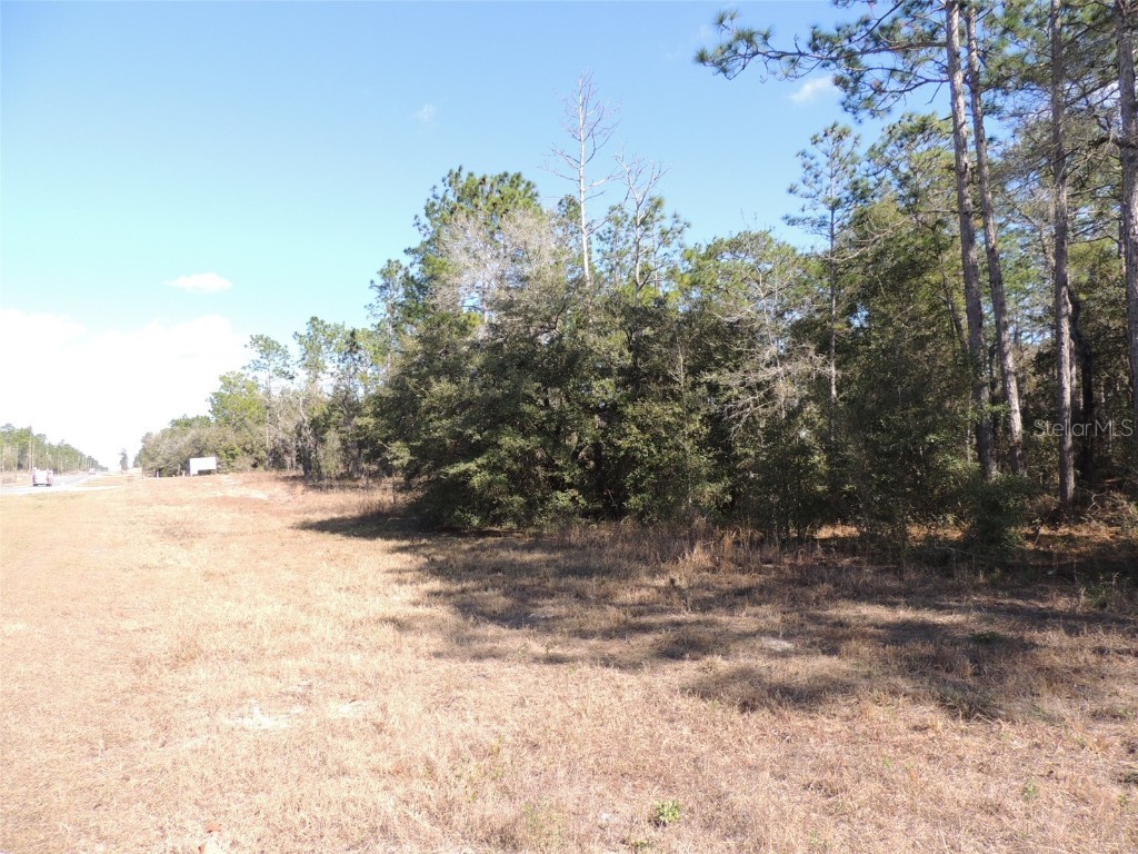 2531 SE State Road 121 Morriston FL 32668 OM651082 image1