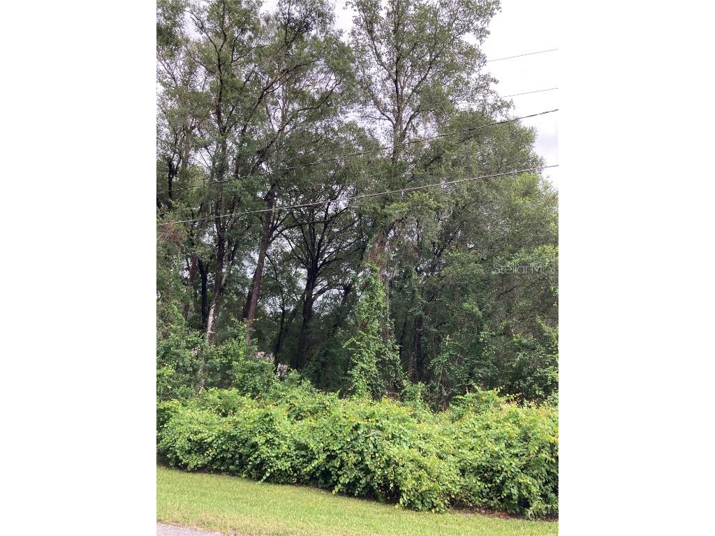 25314 Fishermans Road Paisley FL 32767 G5071112 image1