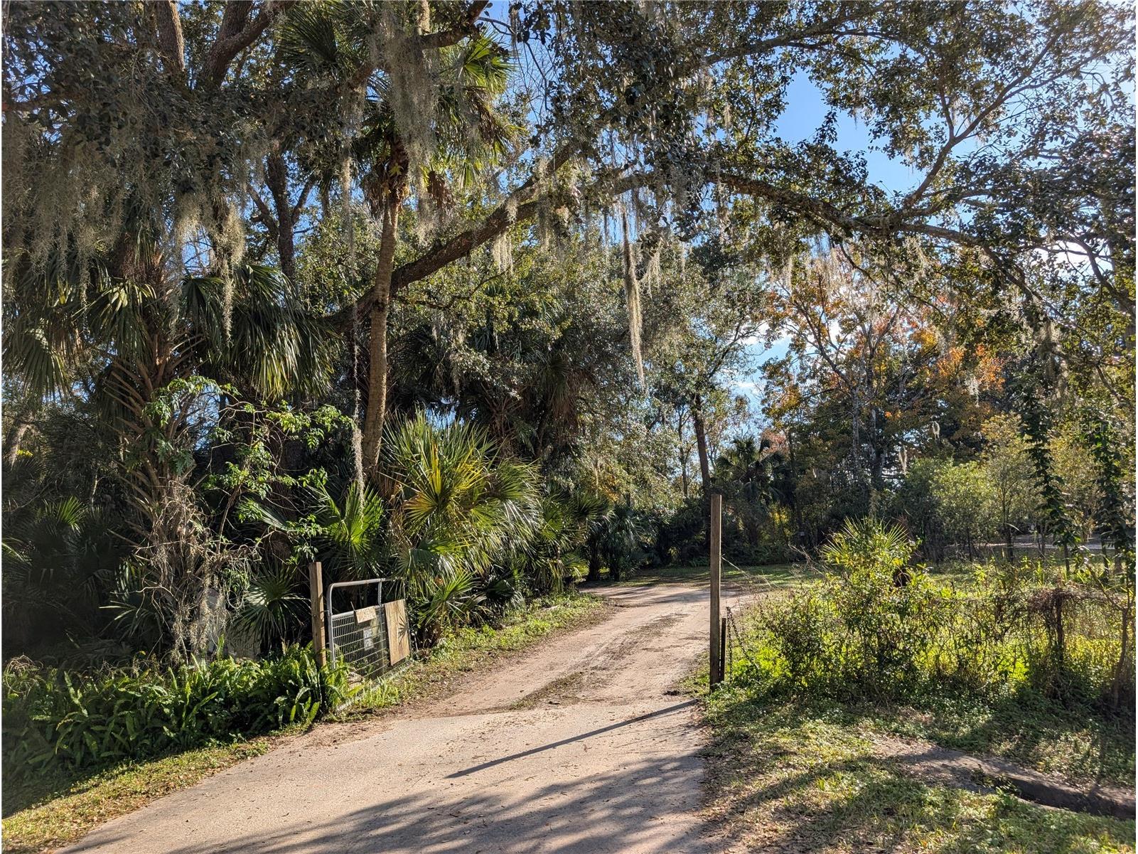 25314 Luke Street Christmas FL 32709 O6373170 image1