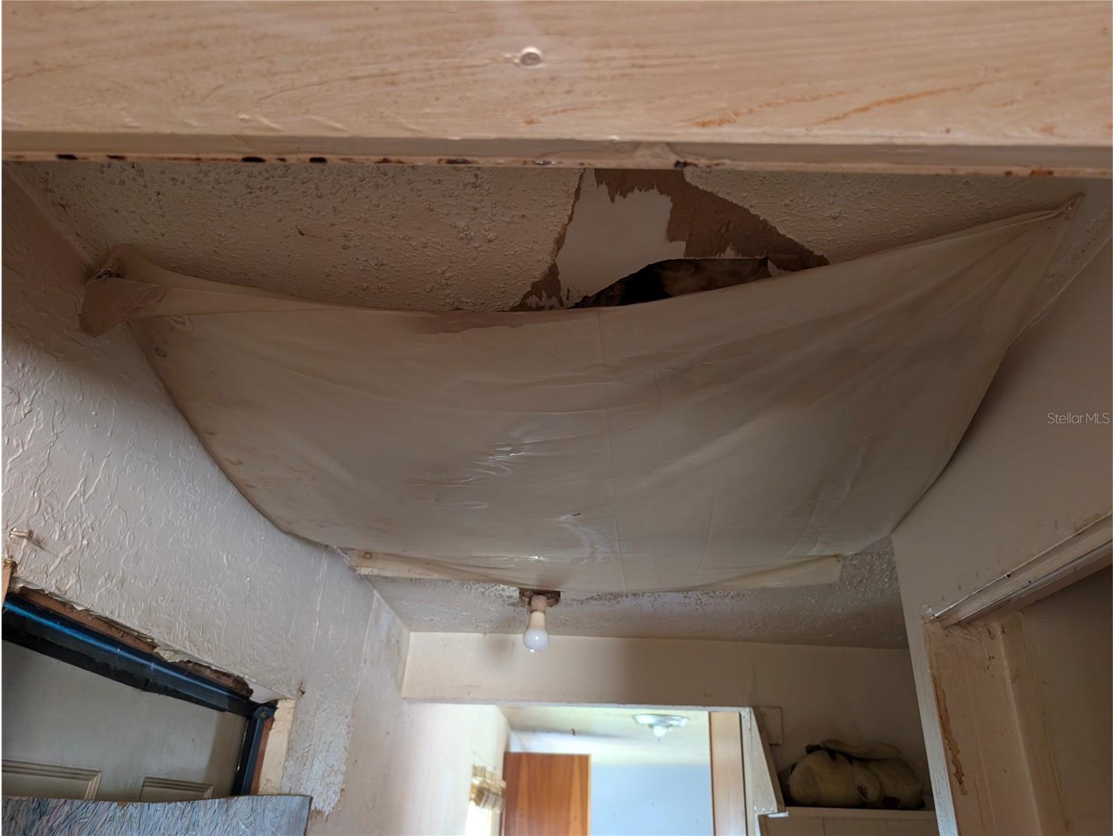 25314 Luke Street Christmas FL 32709 O6373170 image15