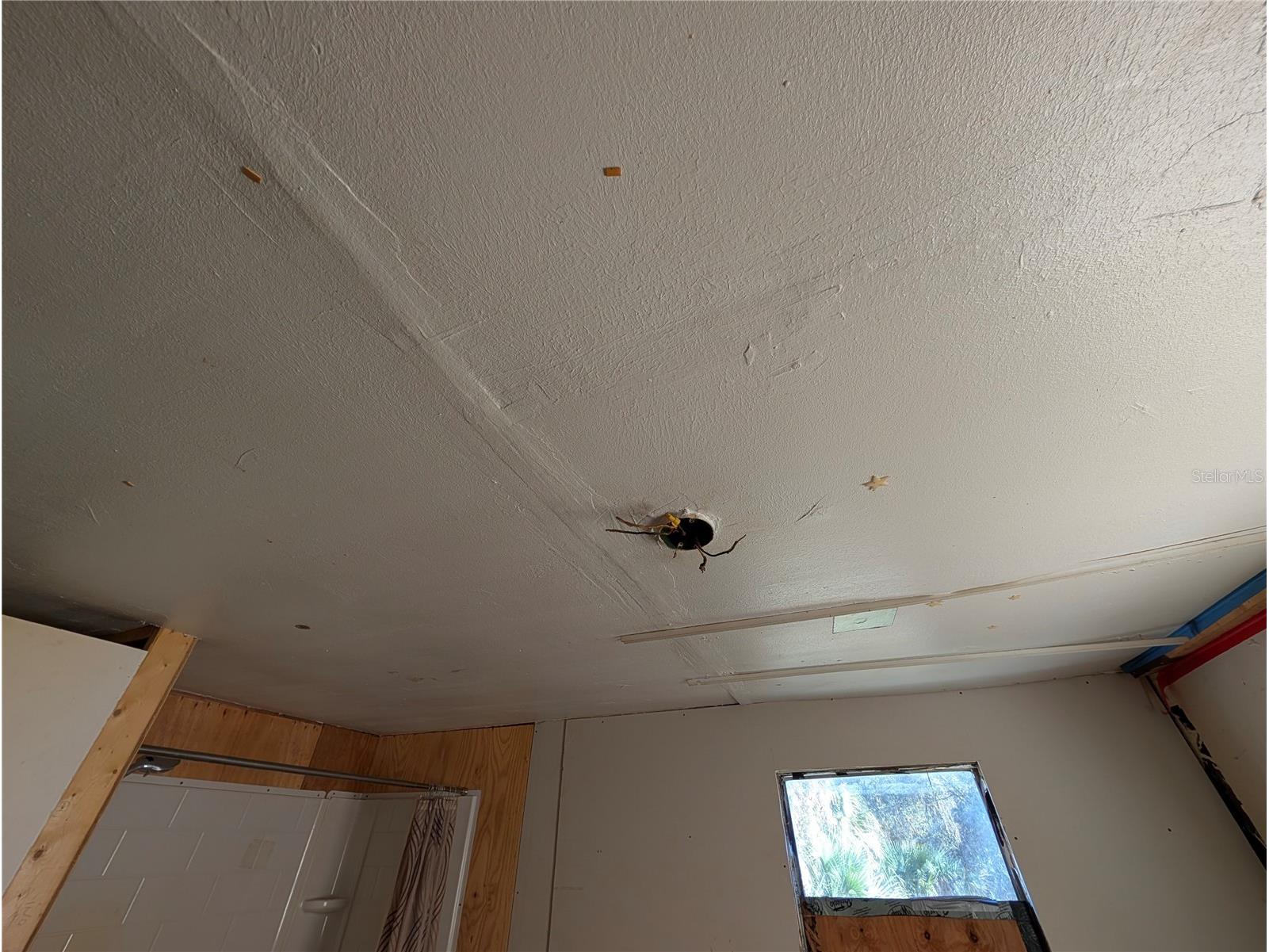 25314 Luke Street Christmas FL 32709 O6373170 image20