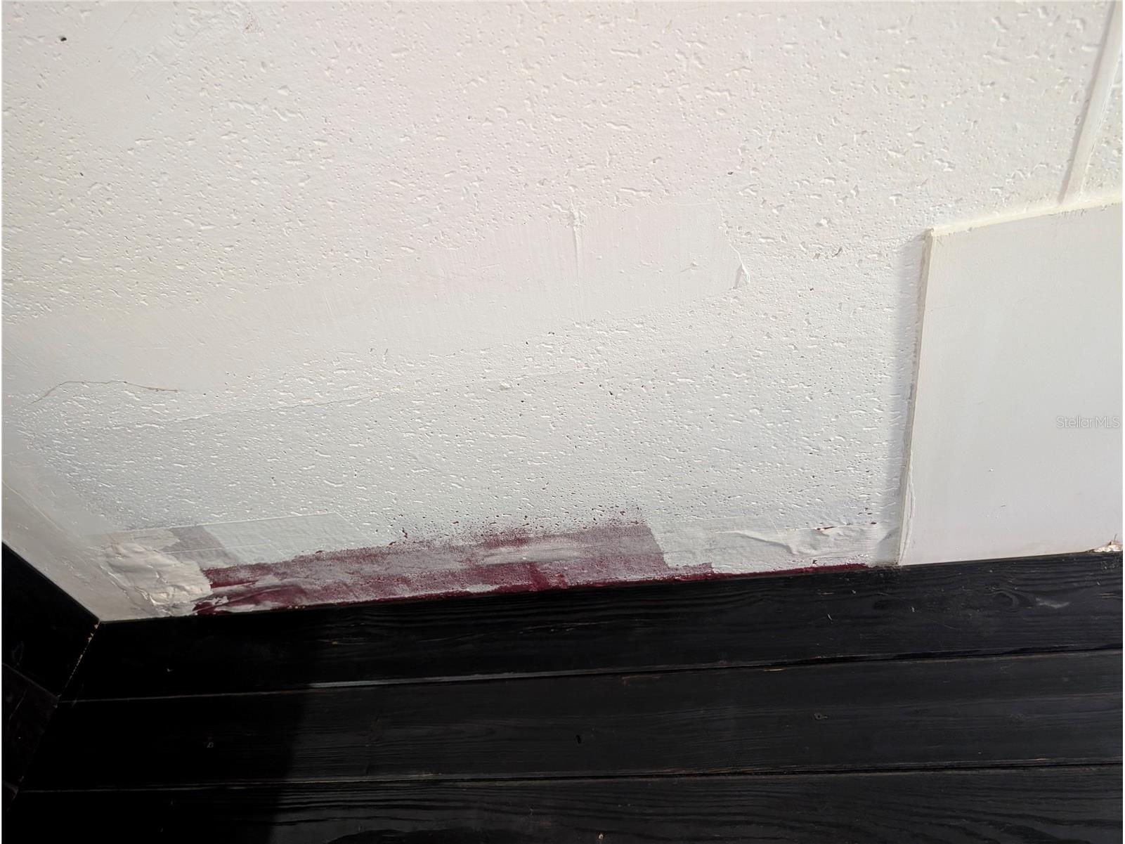 25314 Luke Street Christmas FL 32709 O6373170 image30