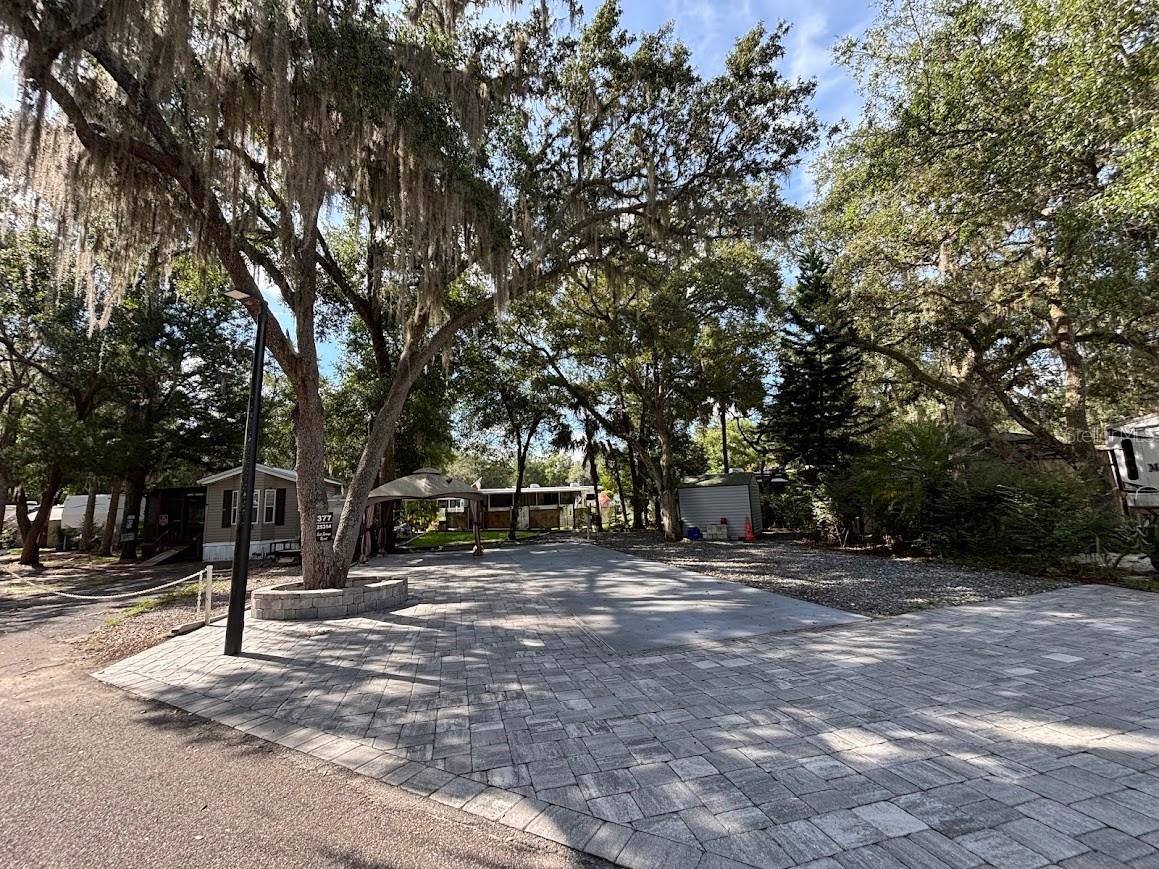 25314 NE 141st Street #377 Salt Springs FL 32134 - LITTLE LAKE KERR OM720874 image4