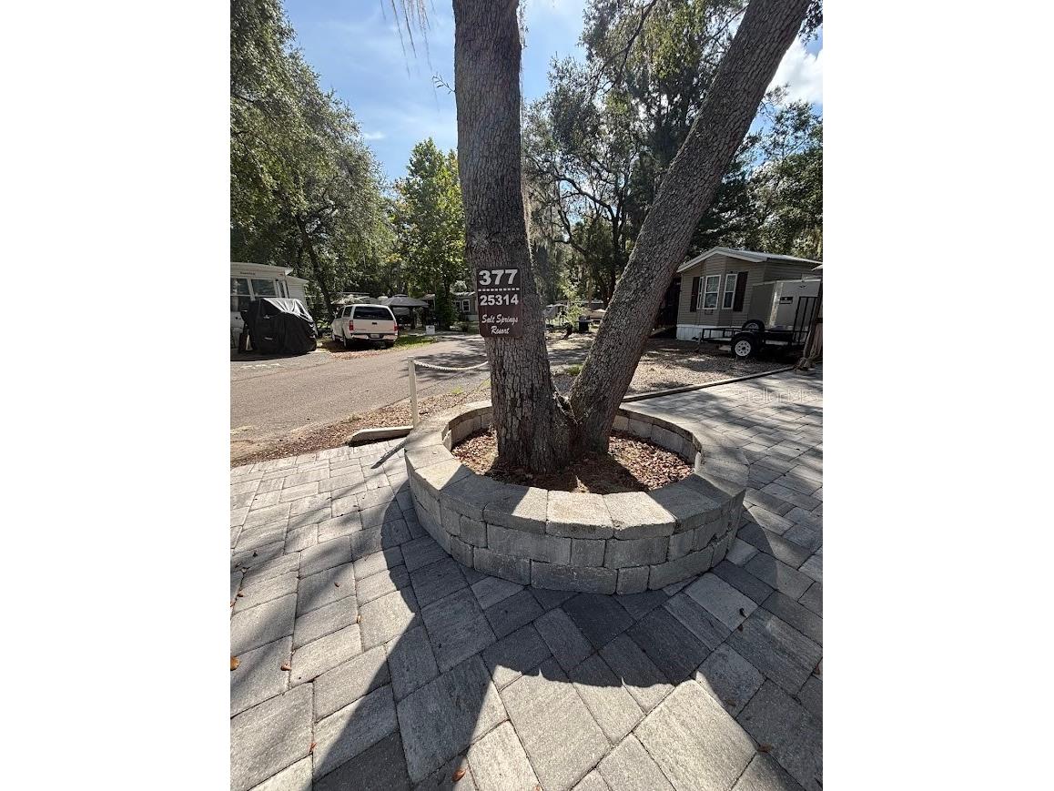 25314 NE 141st Street #377 Salt Springs FL 32134 - LITTLE LAKE KERR OM720874 image5