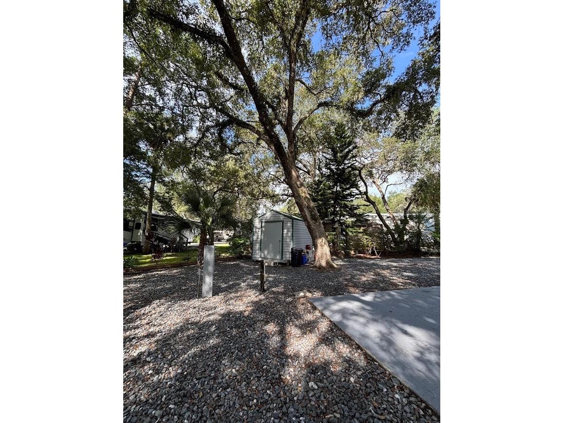 25314 NE 141st Street #377 Salt Springs FL 32134 - LITTLE LAKE KERR OM720874 image6