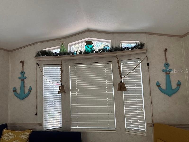 25316 140th Place NE #335 Salt Springs FL 32134 - LITTLE LAKE KERR OM723654 image16