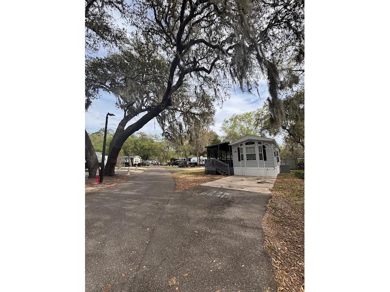 25316 140th Place NE #335 Salt Springs FL 32134 - LITTLE LAKE KERR OM723654 image2
