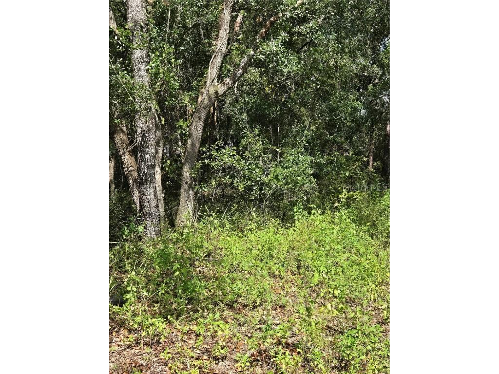 2532 Clearwood Street Inverness FL 34452 W7868682 image1