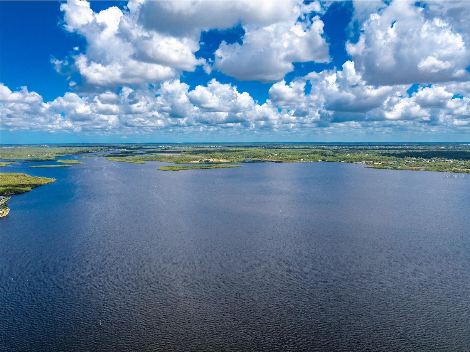2532 Dixon Terrace Port Charlotte FL 33981 - MYAKKA RIVER D6147518 image53
