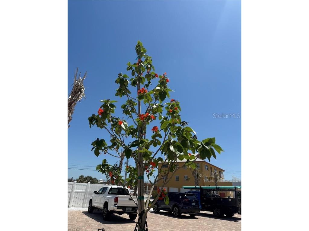 2532 Estero Boulevard #607 Fort Myers Beach FL 33931 C7515765 image32