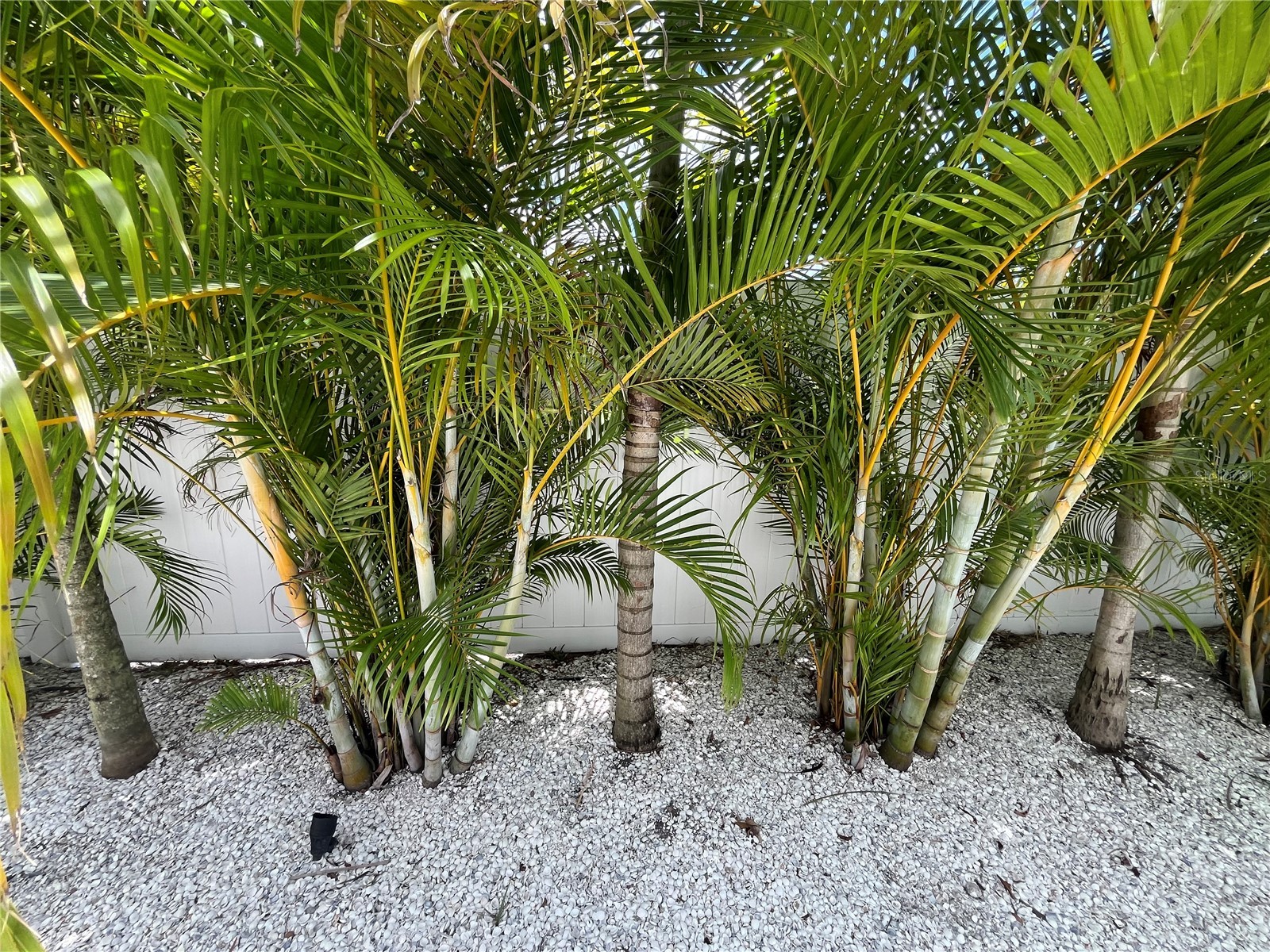 2532 Fruit Tree Drive Sarasota FL 34239 A4692314 image42