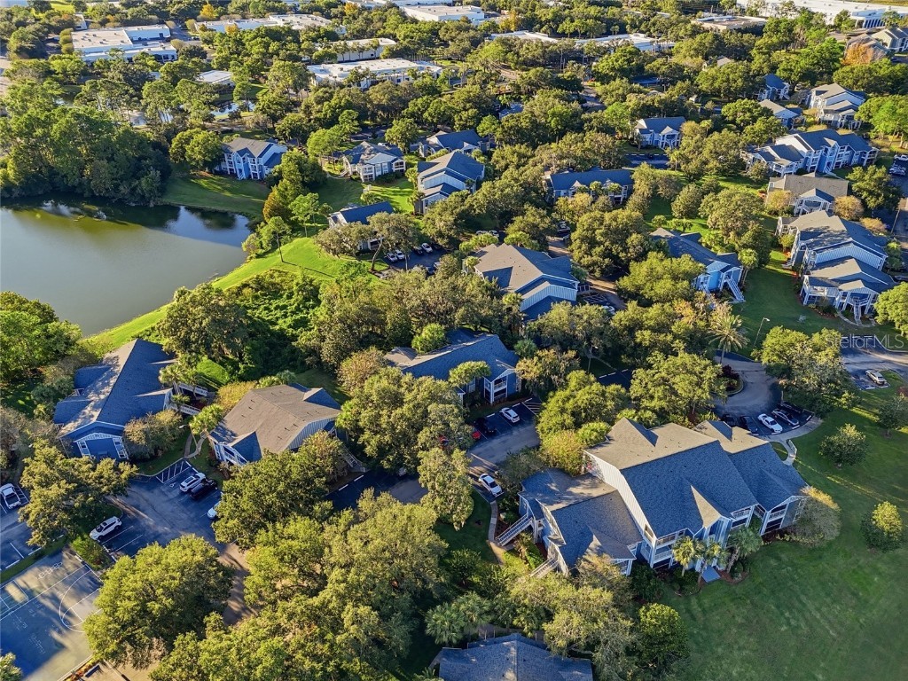 2532 Grassy Point Drive #206 Lake Mary FL 32746 O6360362 image31