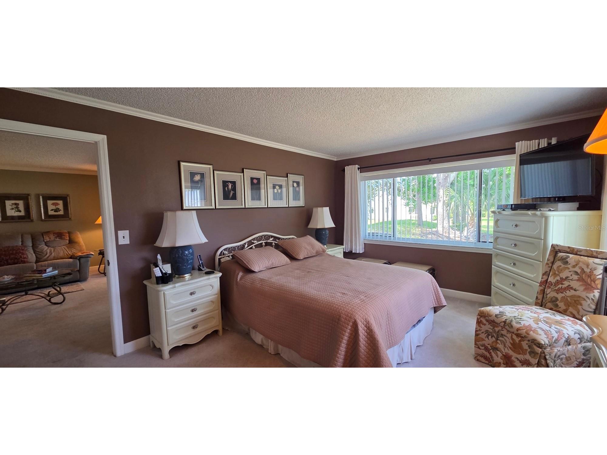 2532 Royal Pines Circle #21F Clearwater FL 33763 TB8503333 image20