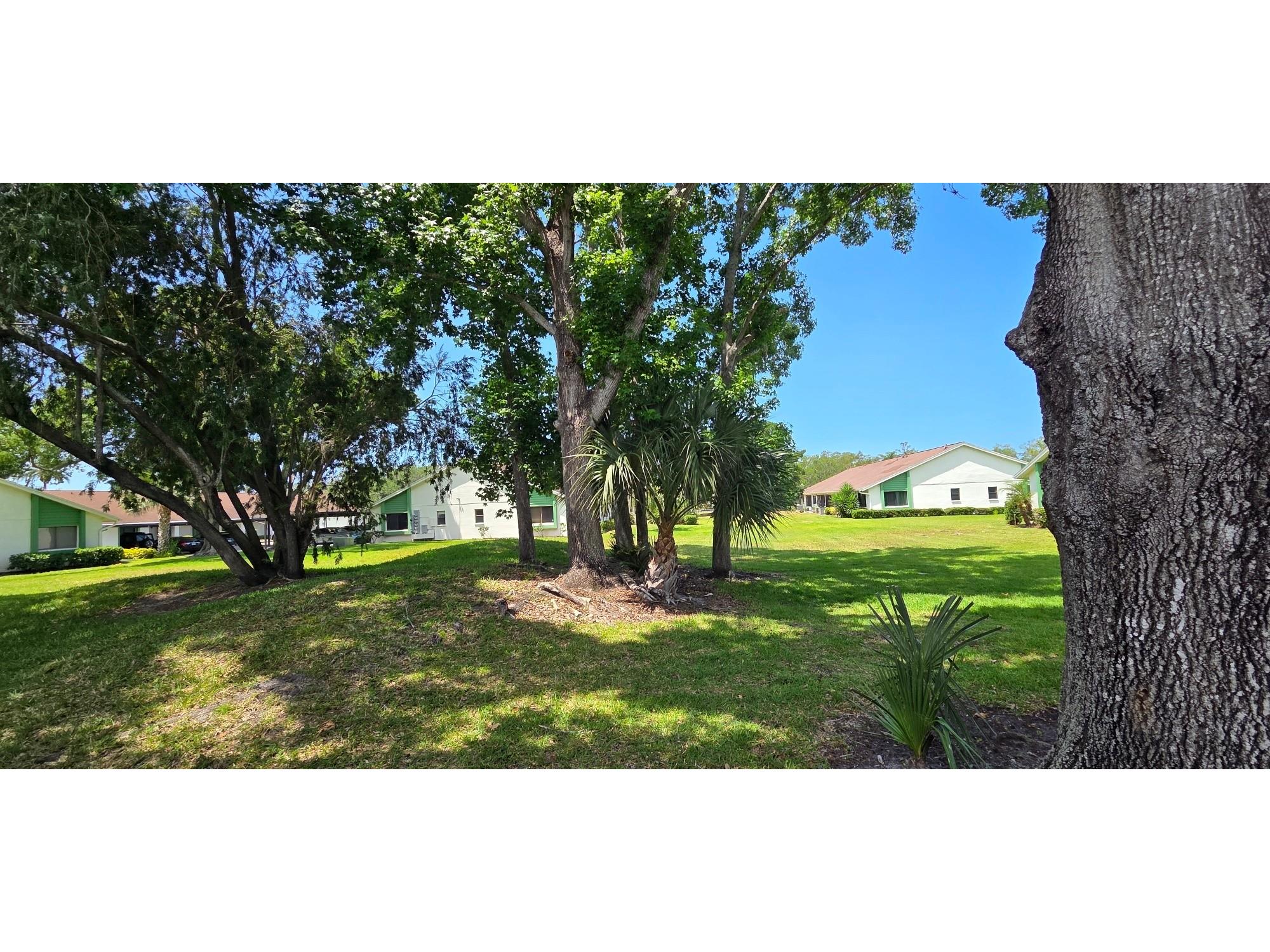 2532 Royal Pines Circle #21F Clearwater FL 33763 TB8503333 image3