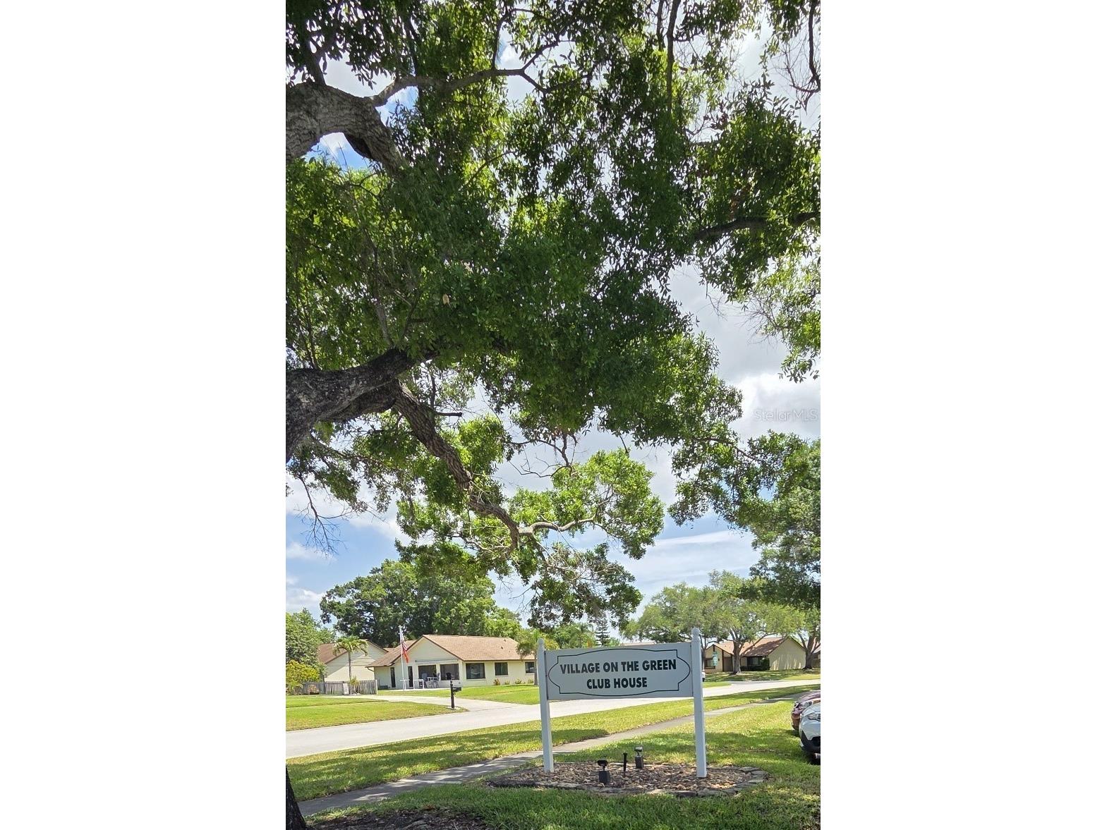 2532 Royal Pines Circle #21F Clearwater FL 33763 TB8503333 image35