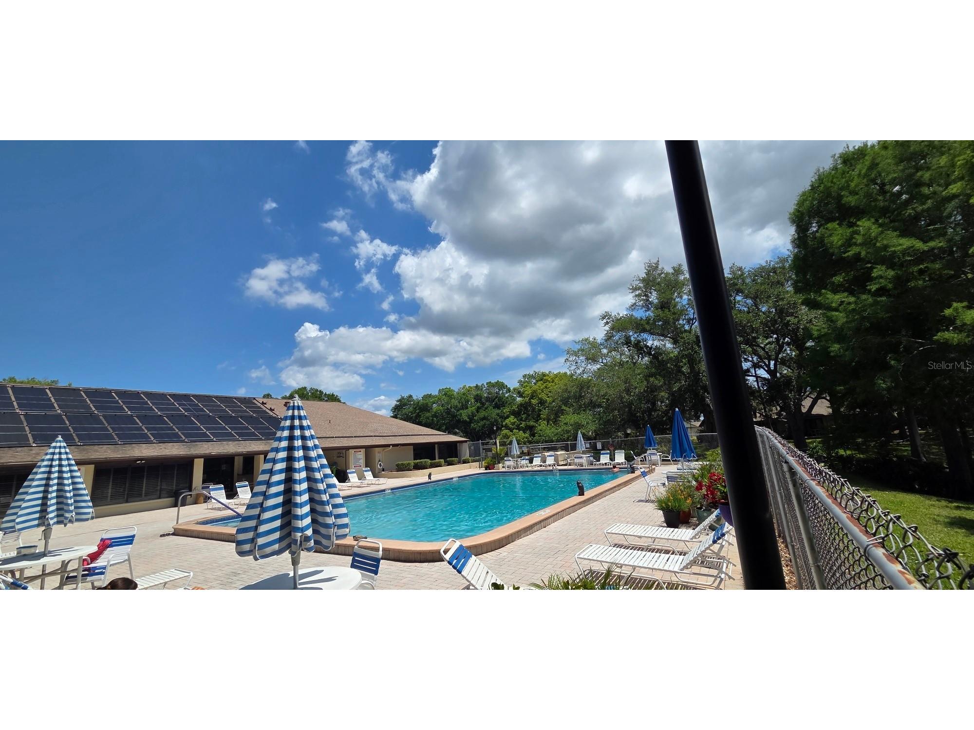 2532 Royal Pines Circle #21F Clearwater FL 33763 TB8503333 image41