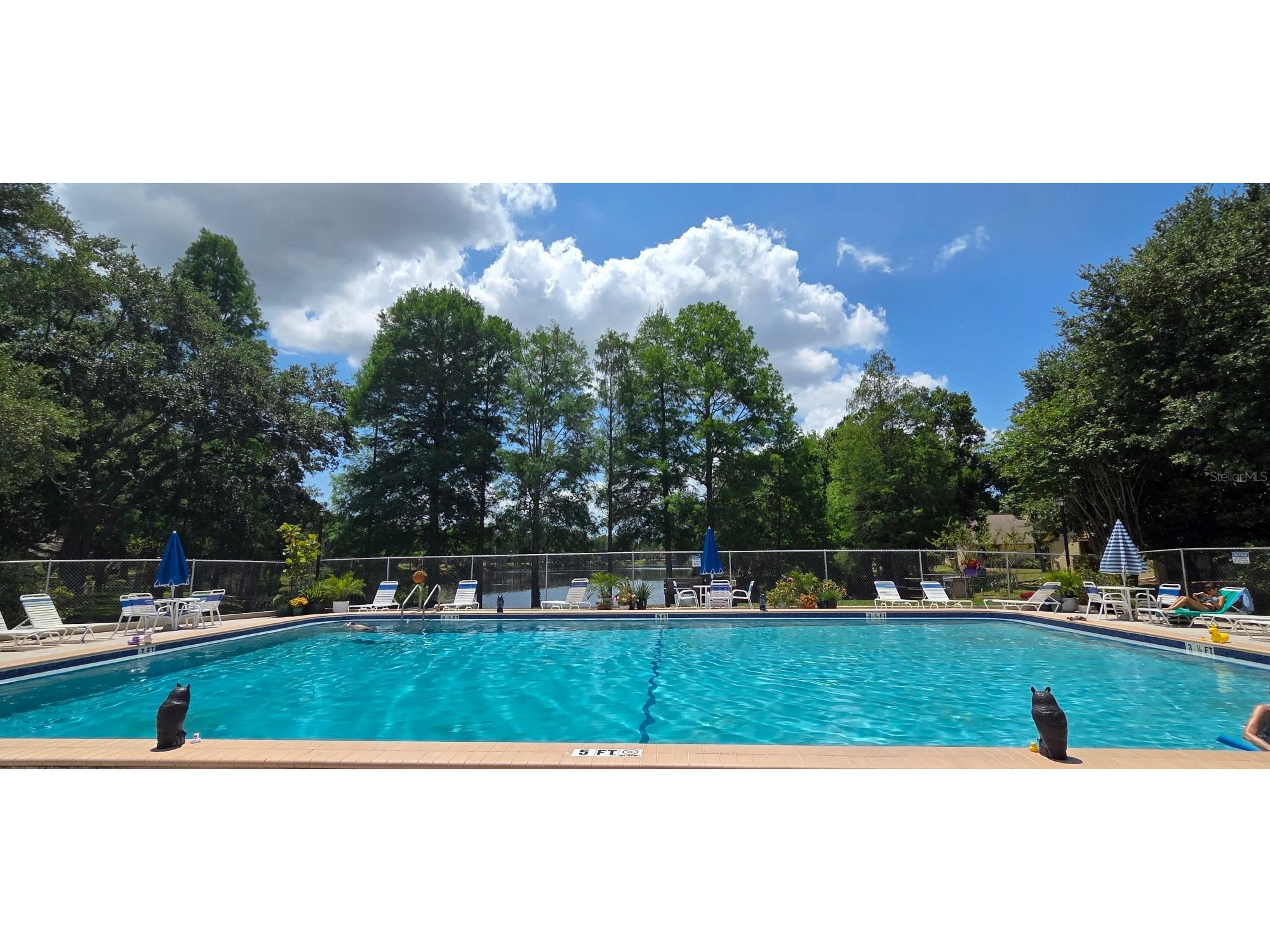2532 Royal Pines Circle #21F Clearwater FL 33763 TB8503333 image47
