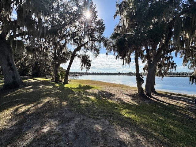 25325 NE 141st Street Salt Springs FL 32134 OM715478 image1
