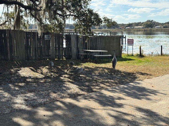 25325 NE 141st Street Salt Springs FL 32134 OM715478 image12