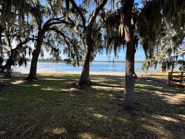 25325 NE 141st Street Salt Springs FL 32134 OM715478 image14