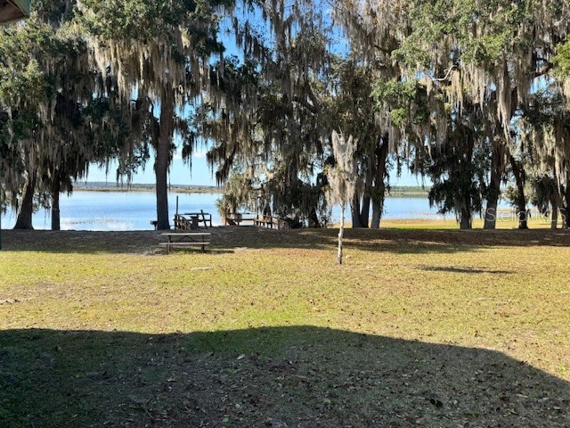 25325 NE 141st Street Salt Springs FL 32134 OM715478 image15