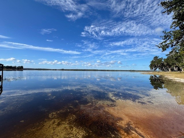 25325 NE 141st Street Salt Springs FL 32134 OM715478 image5