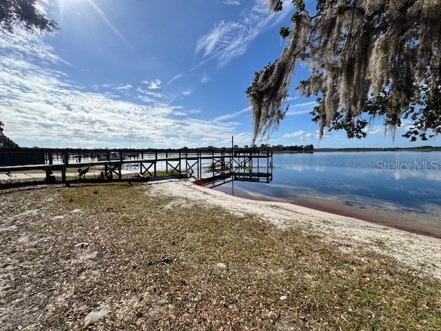 25325 NE 141st Street Salt Springs FL 32134 OM715478 image6