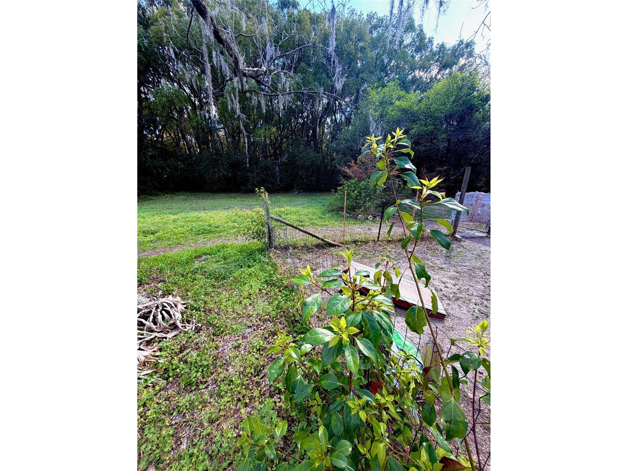 25327 NE State Road 26 Melrose FL 32666 P4937227 image19