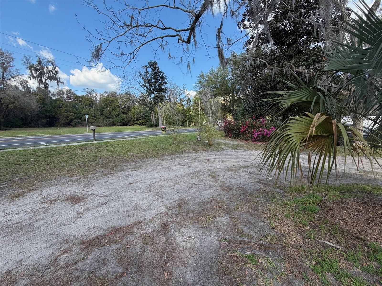 25327 NE State Road 26 Melrose FL 32666 P4937227 image2