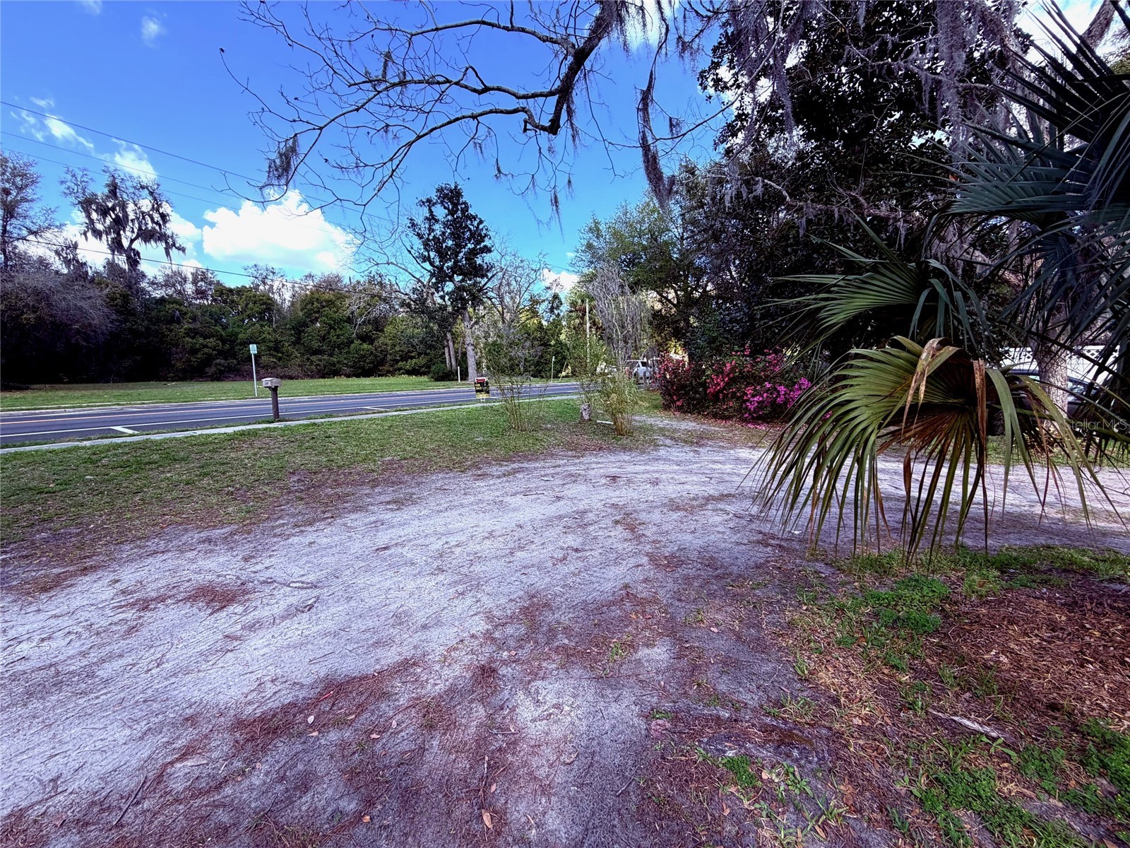 25327 NE State Road 26 Melrose FL 32666 P4937227 image3