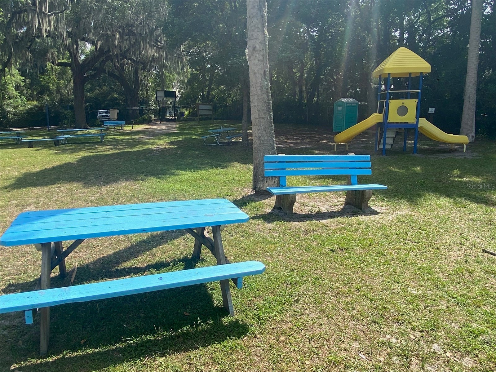 25327 NE State Road 26 Melrose FL 32666 P4937227 image35