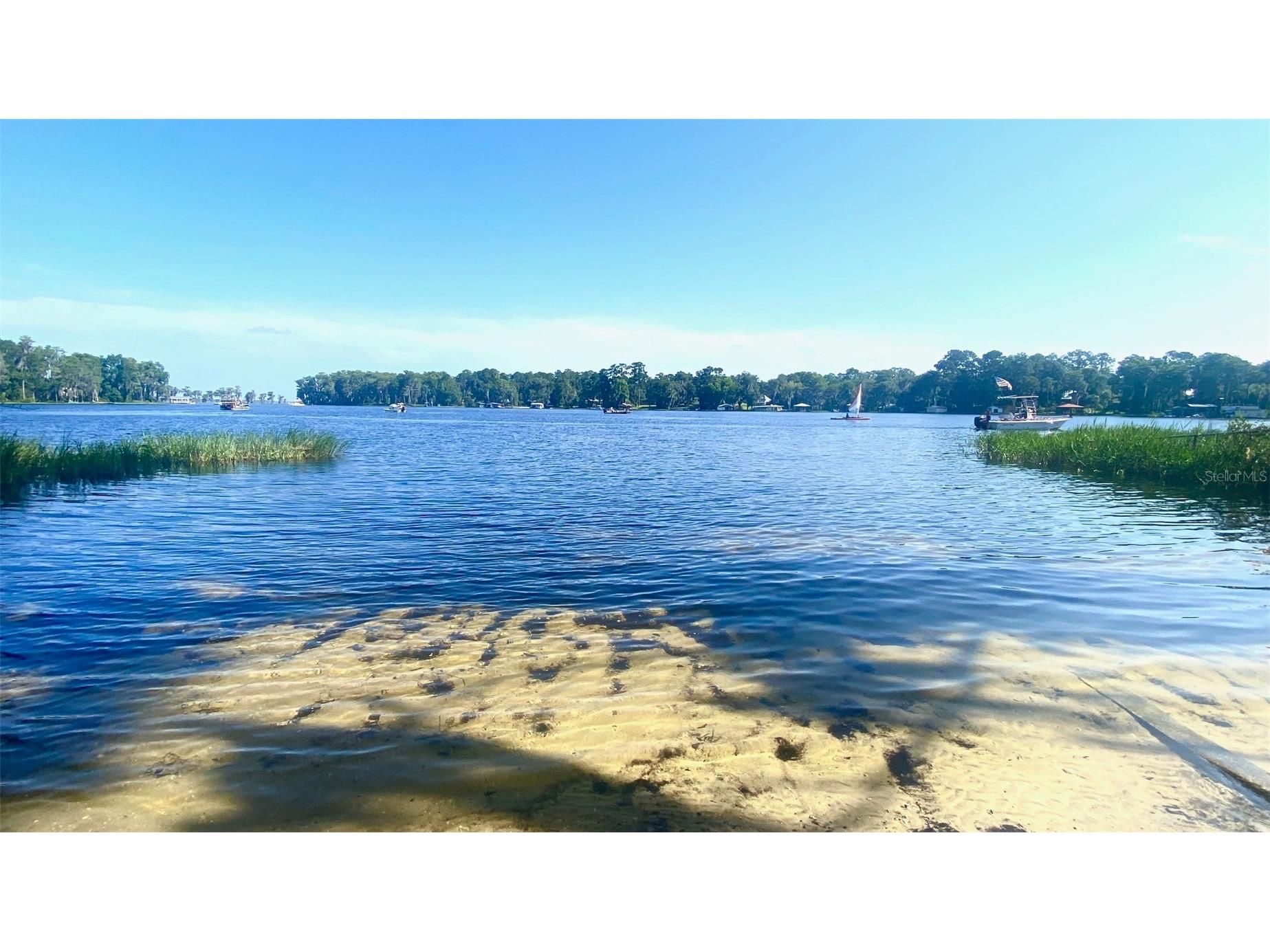 25327 NE State Road 26 Melrose FL 32666 P4937227 image39