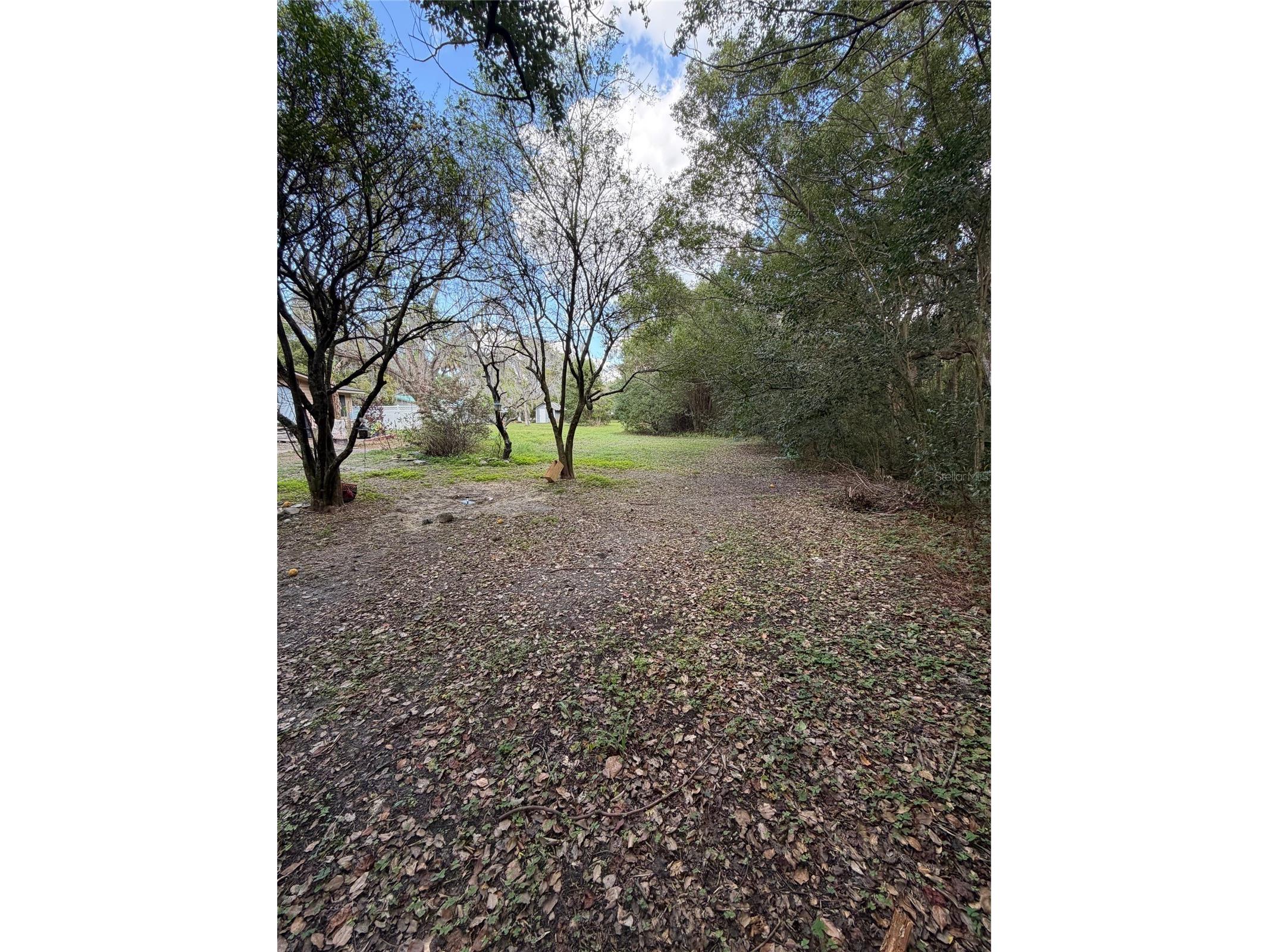 25327 NE State Road 26 Melrose FL 32666 P4937227 image4