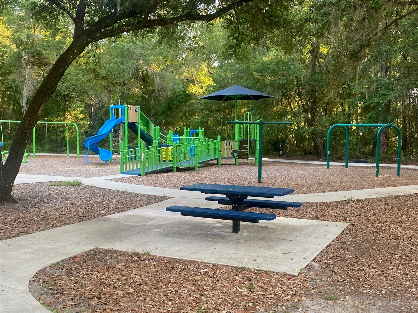 25327 NE State Road 26 Melrose FL 32666 P4937227 image41