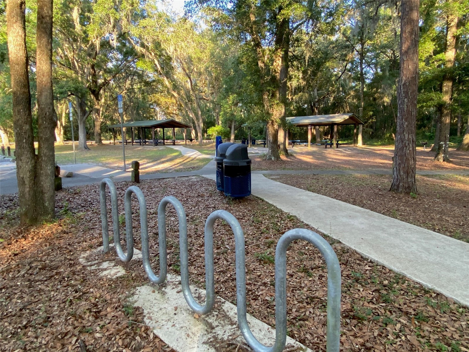 25327 NE State Road 26 Melrose FL 32666 P4937227 image42