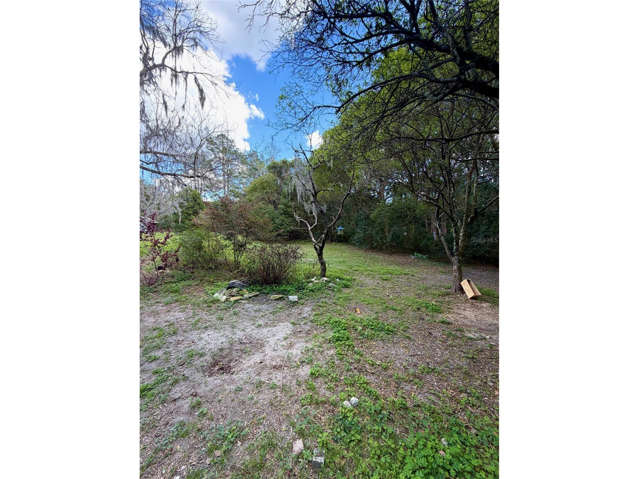 25327 NE State Road 26 Melrose FL 32666 P4937227 image5