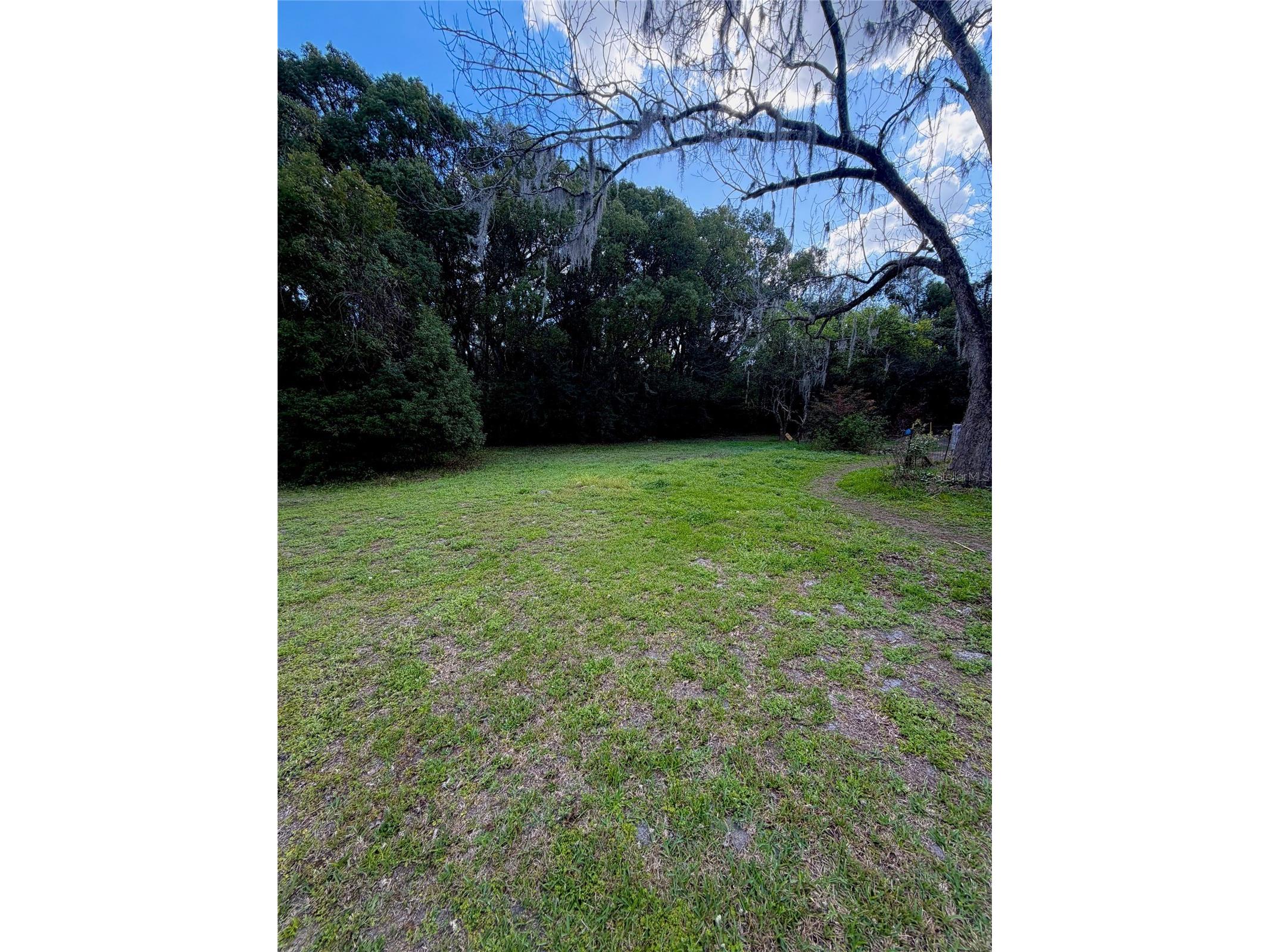 25327 NE State Road 26 Melrose FL 32666 P4937227 image6