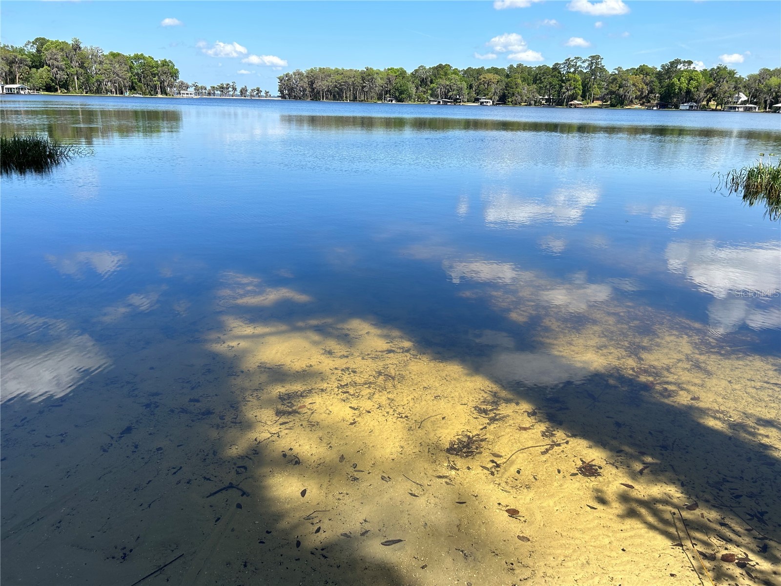 25327 NE State Road 26 Melrose FL 32666 P4937227 image64