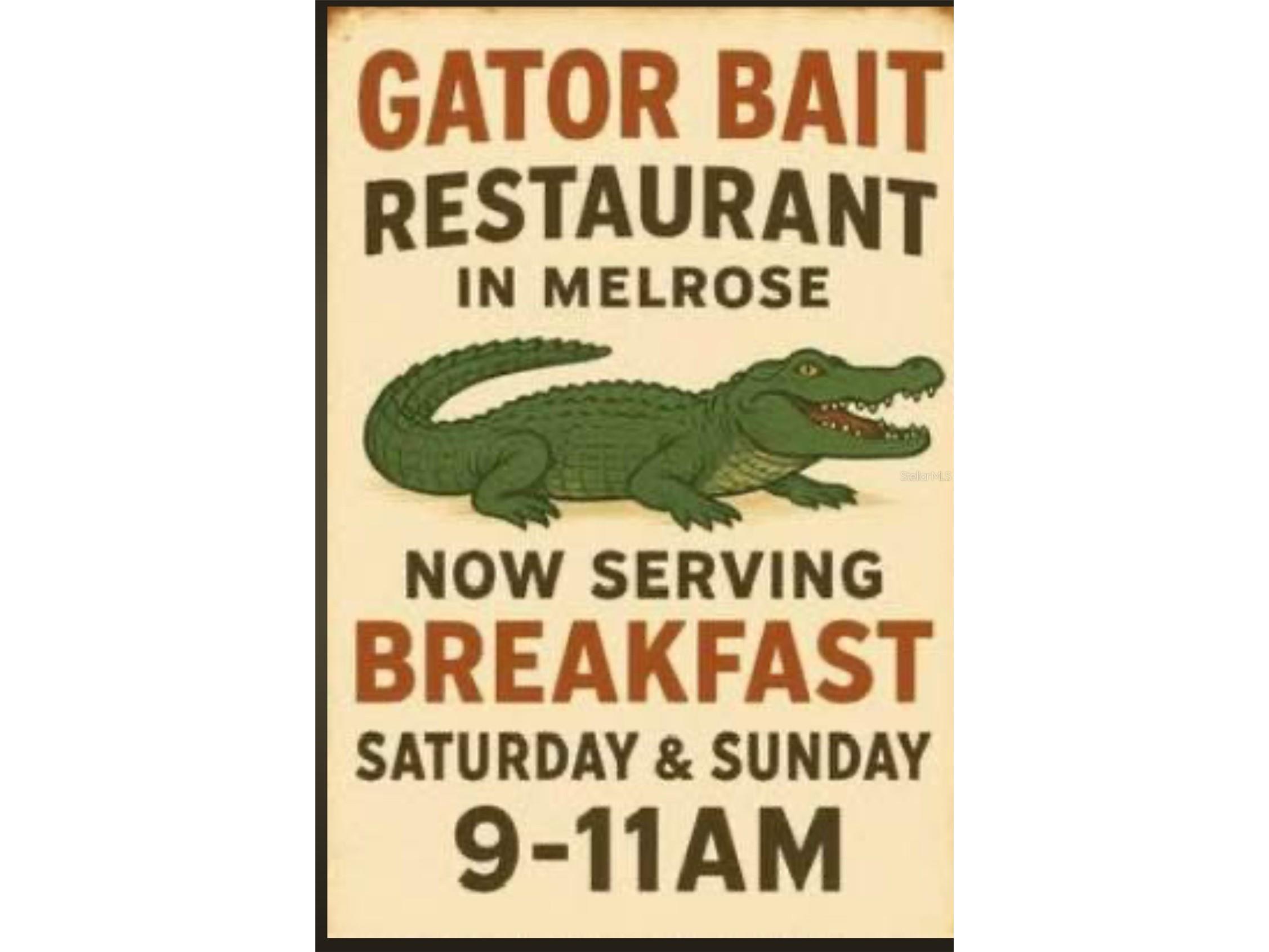 25327 NE State Road 26 Melrose FL 32666 P4937227 image66