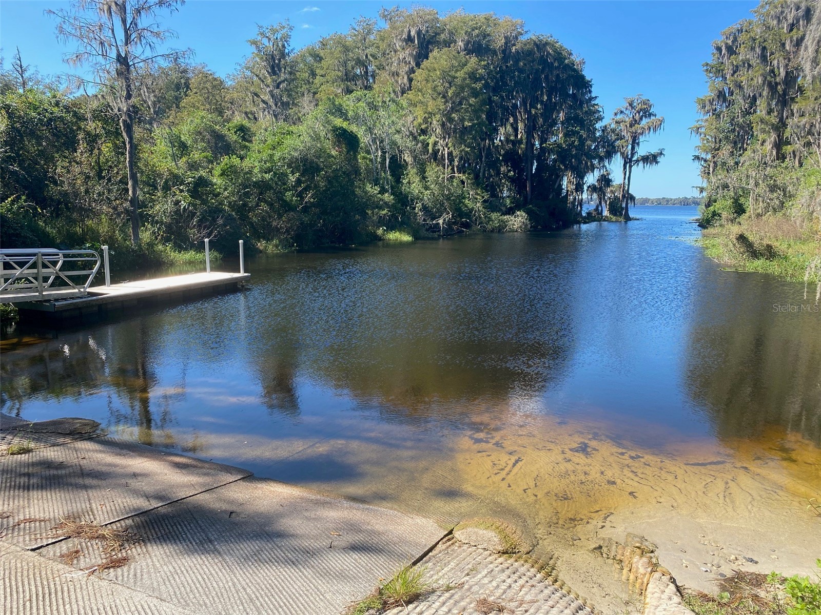 25327 NE State Road 26 Melrose FL 32666 P4937227 image70