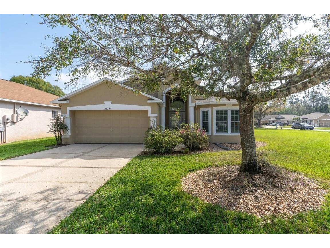 25327 Seven Rivers Circle Land O Lakes FL 34639 T3430639 image1