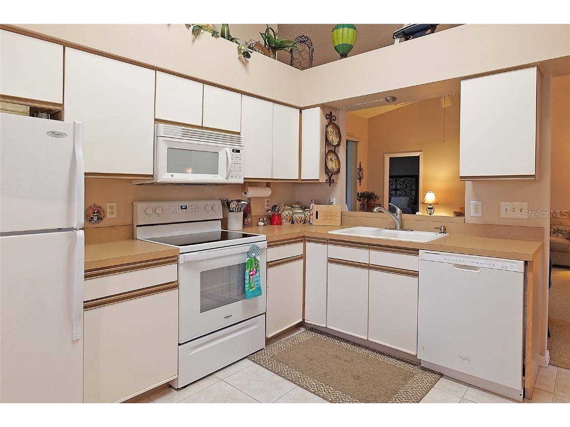 25327 Temple Court Leesburg FL 34748 O6359586 image13