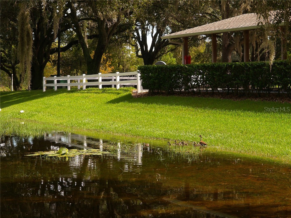 25327 Temple Court Leesburg FL 34748 O6359586 image47