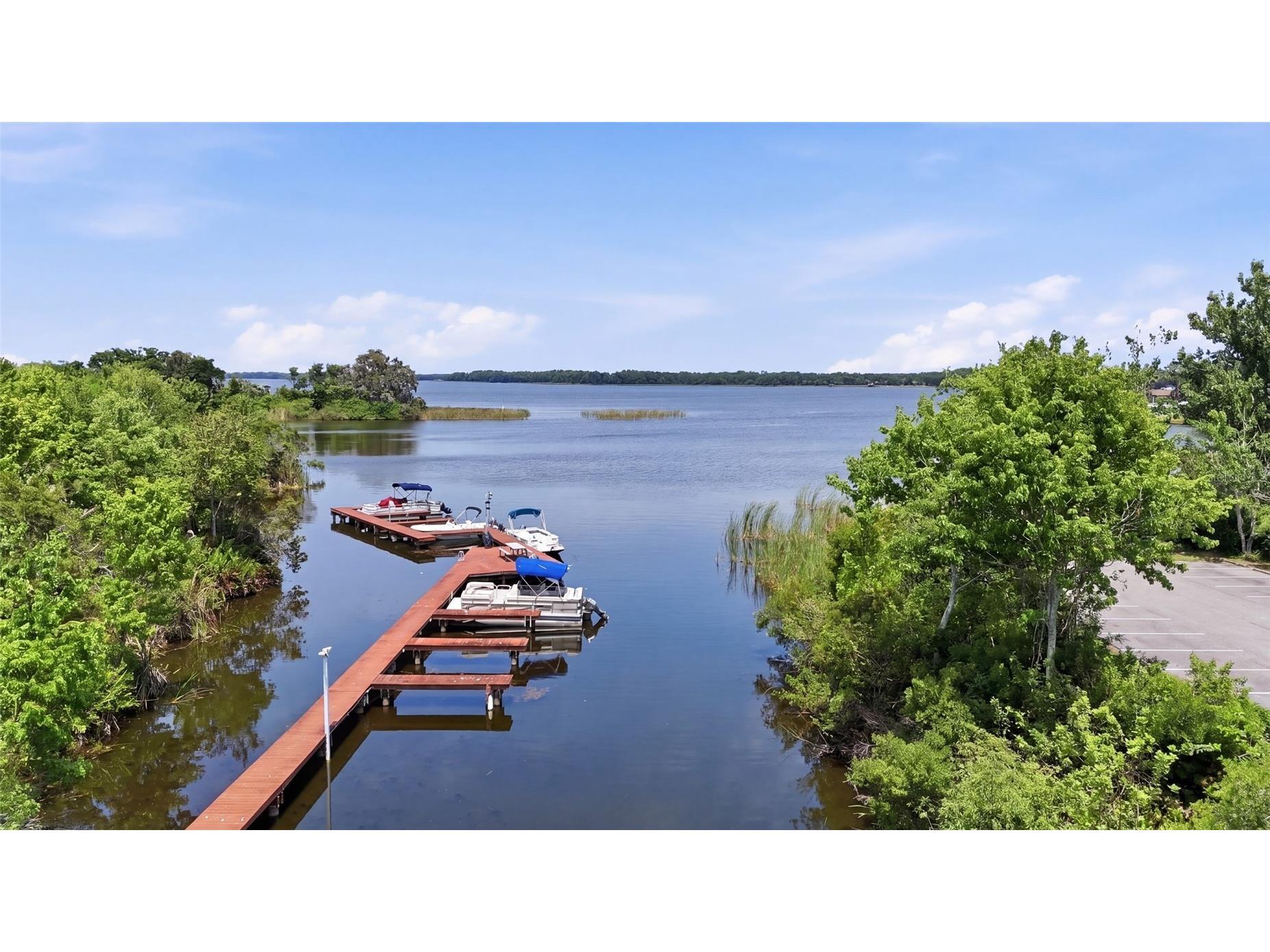 2533 Dolly Bay Drive #107 Palm Harbor FL 34684 - LAKE TARPON TB8507348 image31