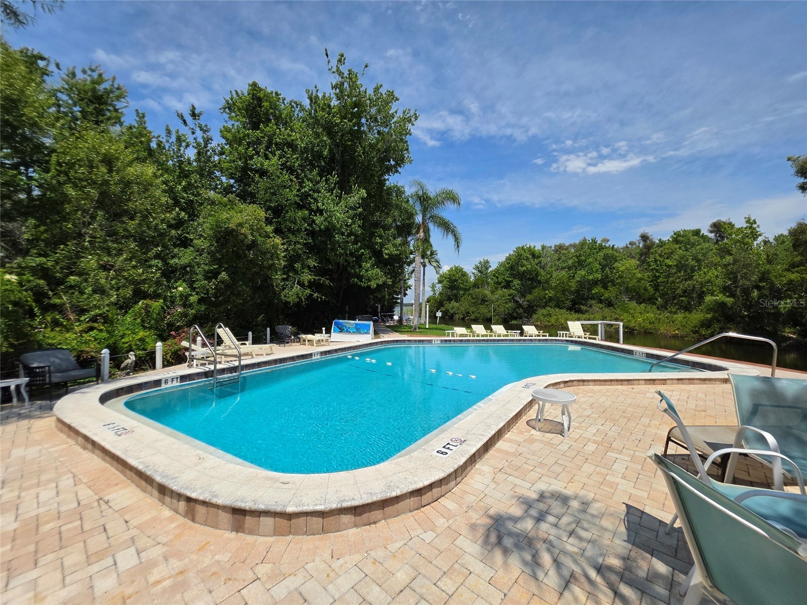 2533 Dolly Bay Drive #107 Palm Harbor FL 34684 - LAKE TARPON TB8507348 image36