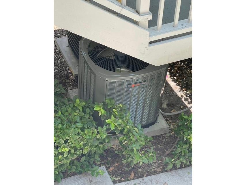 2533 Dolly Bay Drive #203 Palm Harbor FL 34684 - LAKE TARPON TB8386582 image27